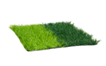 PERU NATURF X1
