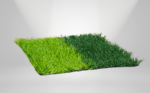 PERU NATURF X1 - Image 2