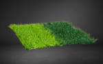 PERU NATURF X1 - Image 3