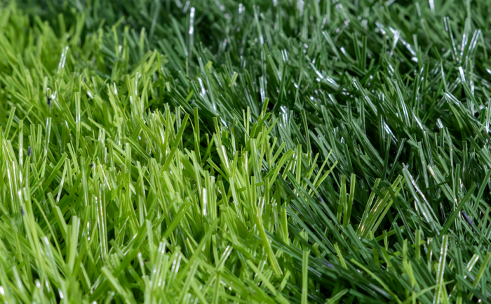 PERU NATURF X1 - Image 4