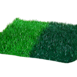PERÚ STEM PLUS