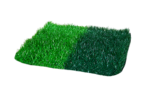 PERÚ STEM PLUS