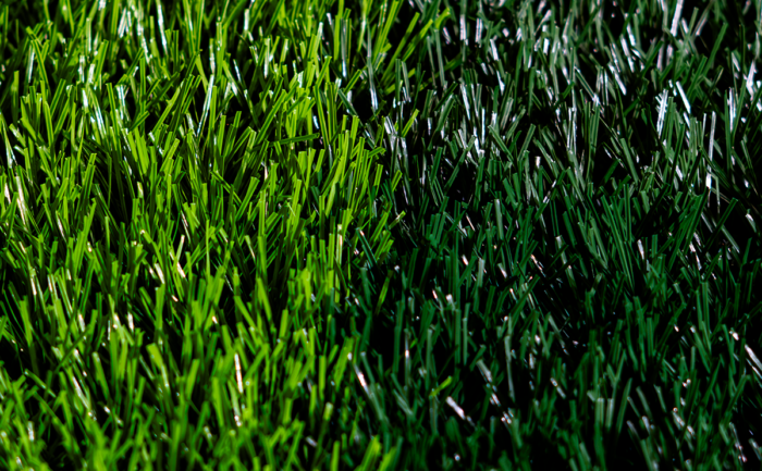 PERÚ NATURF XS1 - Image 4