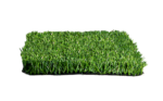 PERÚ GOL STEM B