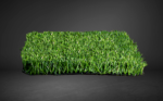 PERÚ GOL STEM B - Image 3