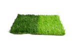 INKA GRASS