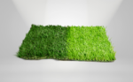 INKA GRASS - Image 2