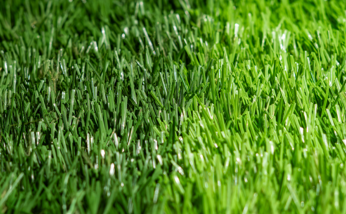 INKA GRASS - Image 4