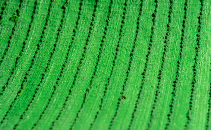 INKA GRASS - Image 5