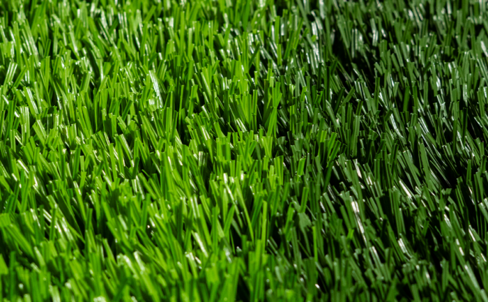 PERÚ EURO NATURF X10 - Image 4