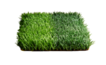 BIO EURO GOL 5/8