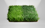 BIO EURO GOL 5/8 - Image 2