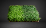 BIO EURO GOL 5/8 - Image 3