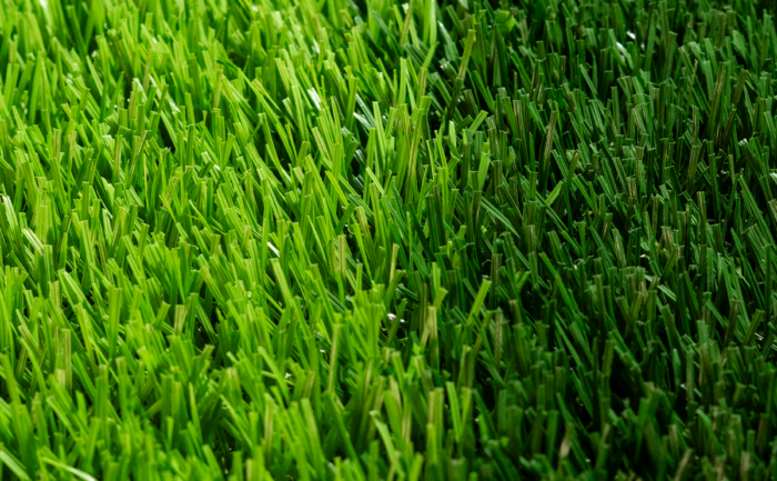 BIO EURO GOL 5/8 - Image 4