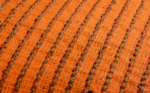 BIO EURO GOL 5/8 - Image 5