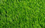 BIO GRASS TRICOLOR 140 - Image 4