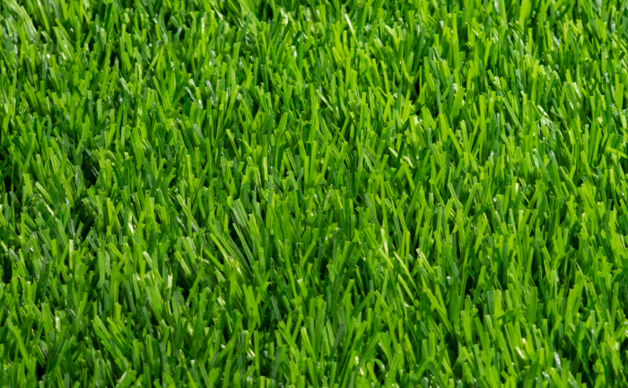 BIO GRASS TRICOLOR 140 - Image 4