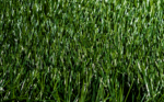 FIFA QUALITY MG MAXI 140 - Image 4
