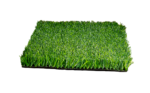 BIO GRASS PERÚ B