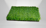 BIO GRASS PERÚ B - Image 2