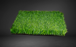 BIO GRASS PERÚ B - Image 3