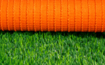 BIO GRASS PERÚ B - Image 4
