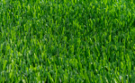 BIO GRASS PERÚ B - Image 5