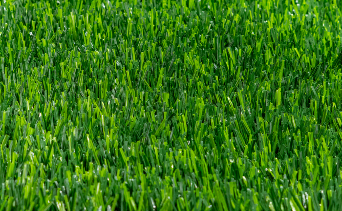 BIO GRASS PERÚ B - Image 5