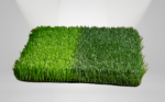 BIO EURO GOL 3/8 - Image 2