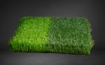 BIO EURO GOL 3/8 - Image 3
