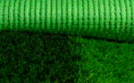 BIO EURO GOL 3/8 - Image 4