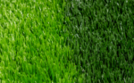 BIO EURO GOL 3/8 - Image 5