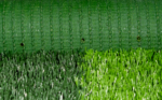 EURO STEM  BT 60 - Image 4