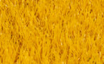PERÚ COLOR AMARILLO - Image 4