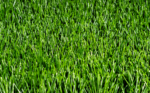 FIFA QUALITY PRO EVOLUTION PLUS 140 - Image 4