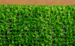 TENNIS PRO 8