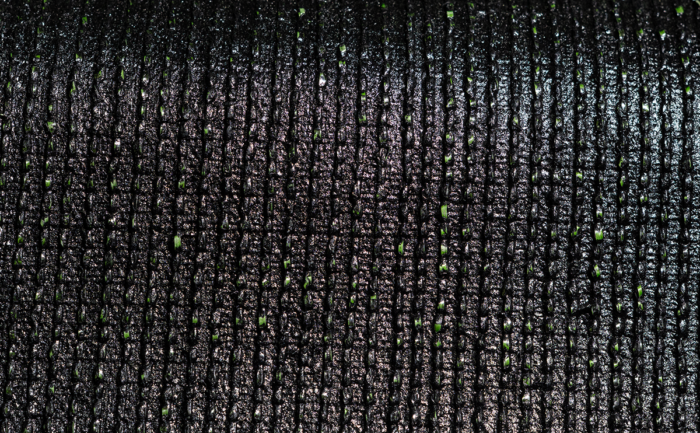 TENNIS PRO 8 - Image 2