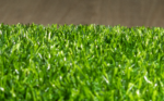 ECO GRASS HU 15