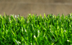 ECO GRASS HU 40