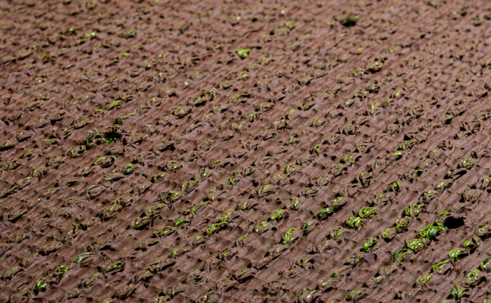 ECO TERRA 20 - Image 2