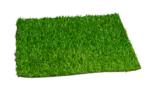 ECO TERRA 20