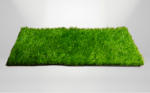 ECO TERRA 40 - Image 3