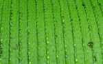 ECO GRASS HD 20 - Image 2