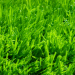 ECO GRASS HD 30