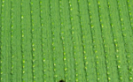 ECO GRASS HD 30 - Image 2