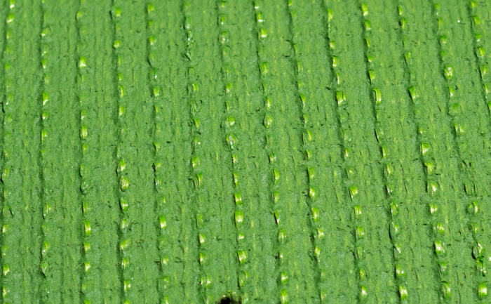 ECO GRASS HD 30 - Image 2