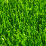 ECO GRASS HD 40