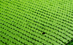 ECO GRASS HD 40 - Image 2