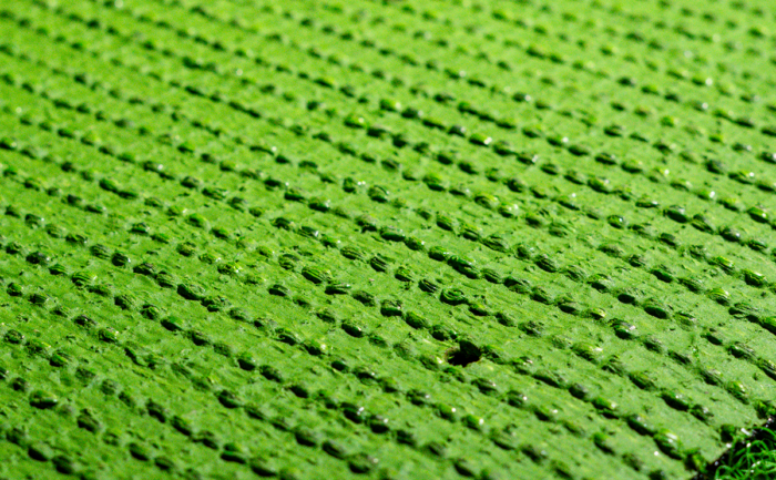ECO GRASS HD 40 - Image 2
