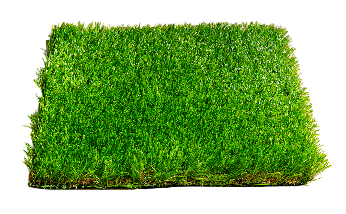 574-6.webp TERRANO HD 40 - Image 1